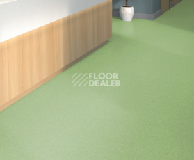Tarkett iq Melodia 2621 фото 2 | FLOORDEALER